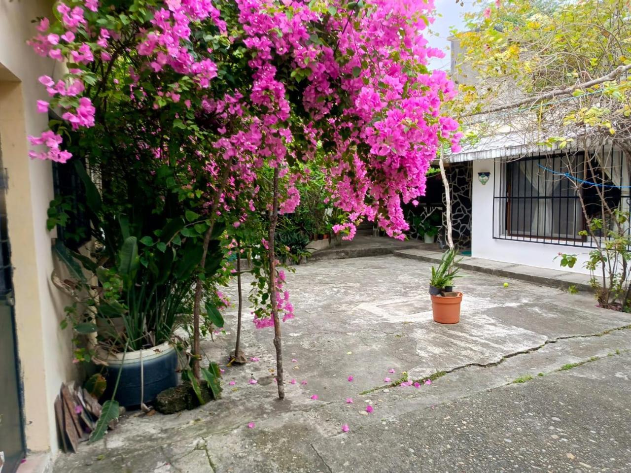 Posada Familiar Papantla Esterno foto